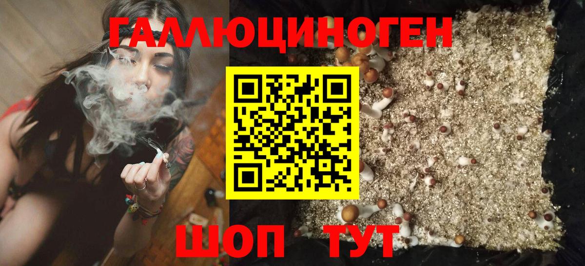Галлюциногенные грибы MAGIC MUSHROOMS  Вход с VPN  Жигулёвск 